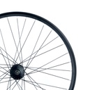 WAM - Bike wheel front 26, 6-bolt disc, black