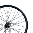 WAM - Bike wheel rear 20, w/o casette, centerlock disc, black