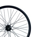 WAM - Bike wheel rear 20, w/o casette, centerlock disc, black