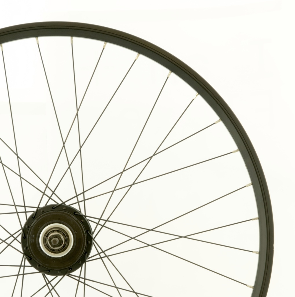 WAM - Bike wheel rear 28, Alfine8 for belt-drive, centerlock disc, black