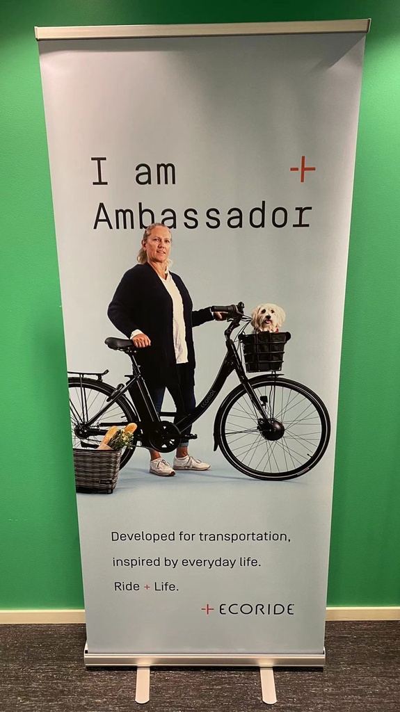 Rollup, I am Ambassador