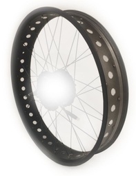 [227-WP7409] Rim AlexRims, FATBIKE