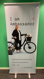 [313RNA0001] Rollup, I am Ambassador
